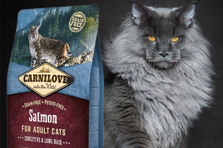 Carnilove – nourriture pour chats