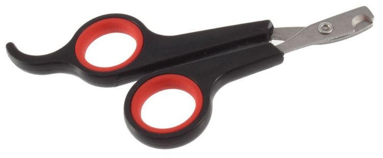 coupe-ongles pour chats