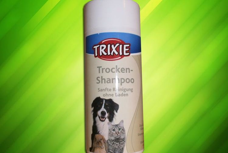 Shampoing sec pour chats