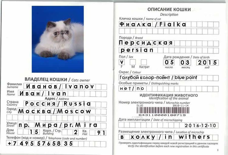 Exemple de passeport vétérinaire pour chat