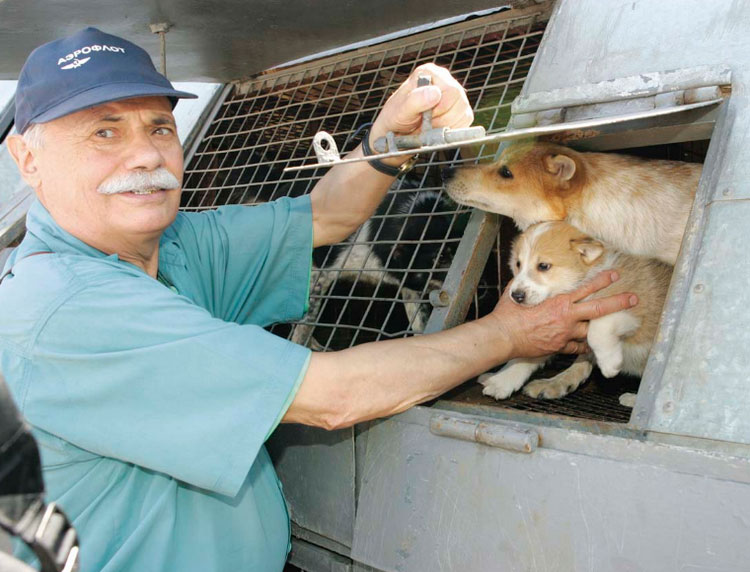 Sulimov avec des chiots Shalaika