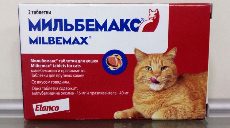 Milbemax pour chats