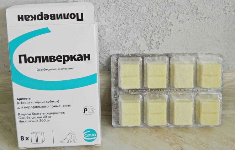 Polyvercan pour chats