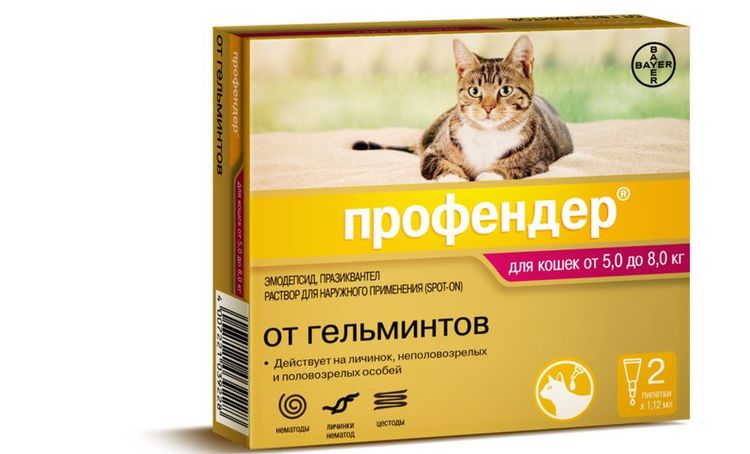 Profender pour chats