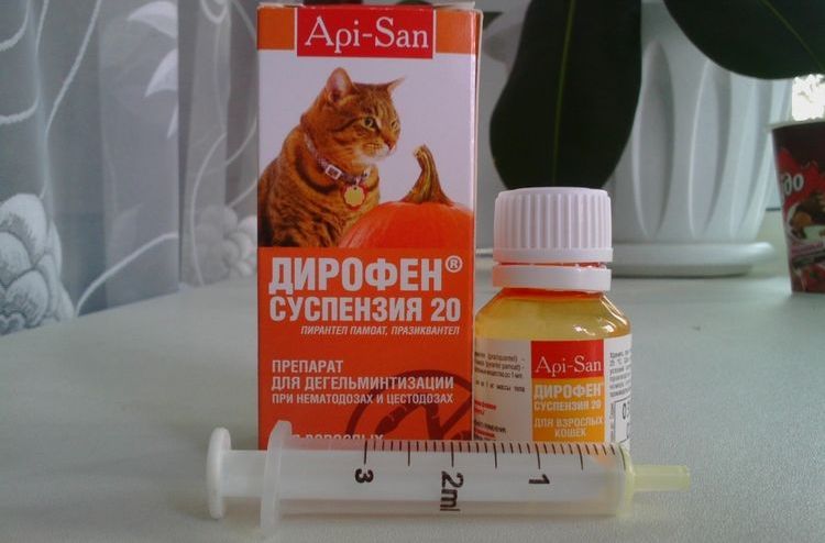 Dirofen pour chats
