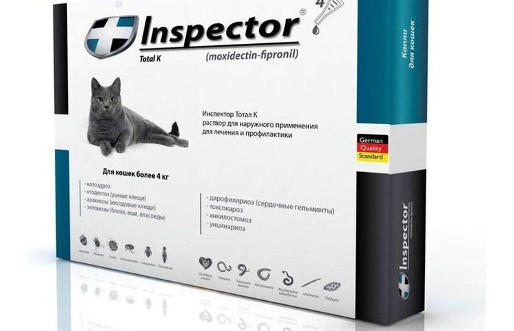 Inspecteur pour chats