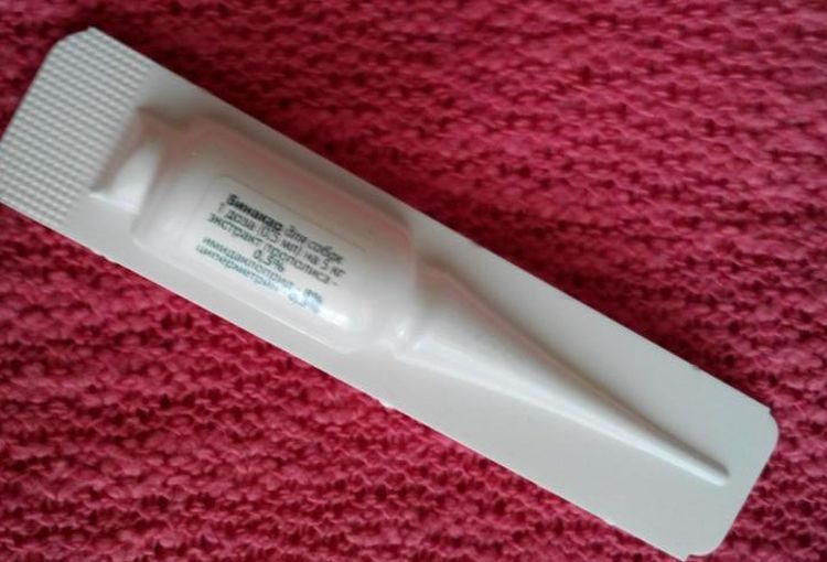 Pipette Binacar pour chats