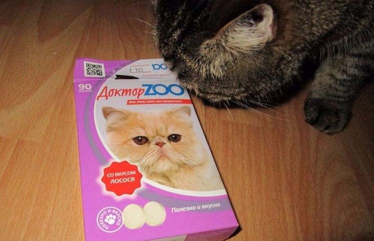 Le chat prend des vitamines de chez Docteur Zoo.