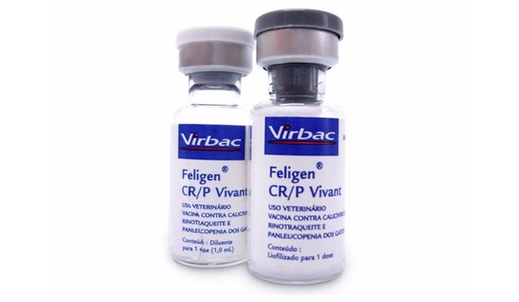 Vaccin pour chats Feligen