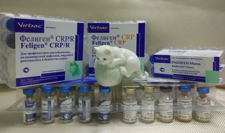 Vaccin pour chats Feligen