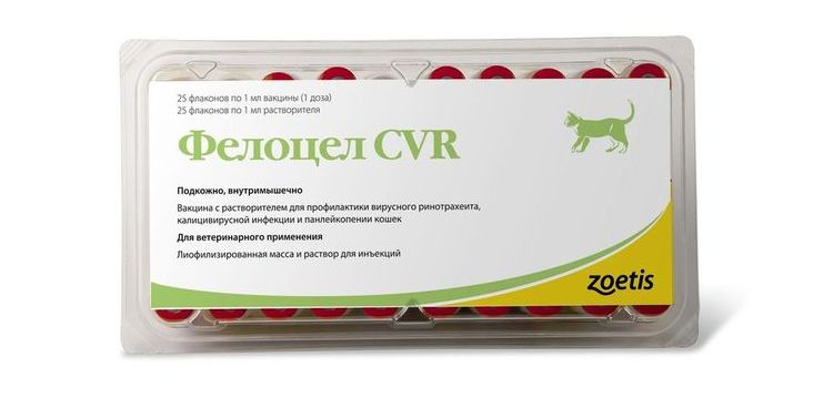 Felocel est un vaccin pour chats.