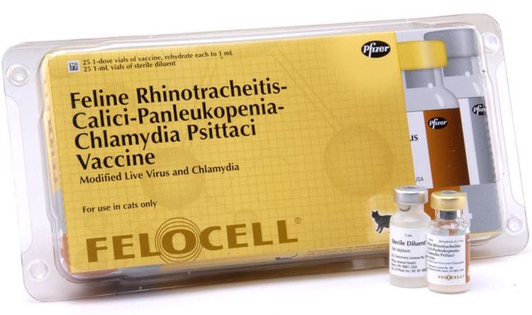 Felocel est un vaccin pour chats.