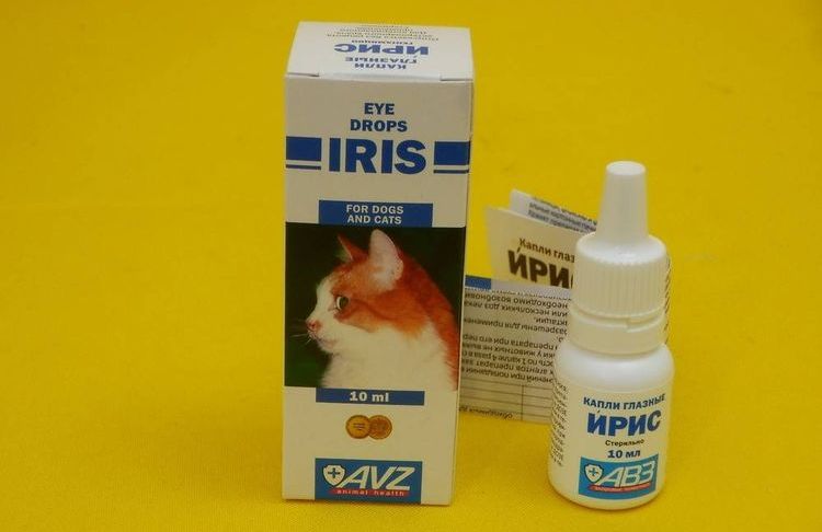 Gouttes d'iris pour chats