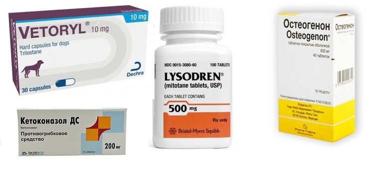 Médicaments pour le traitement du syndrome de Cushing chez le chien