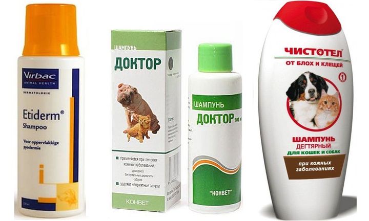 Traitement de l'acanthosis nigricans chez le chien