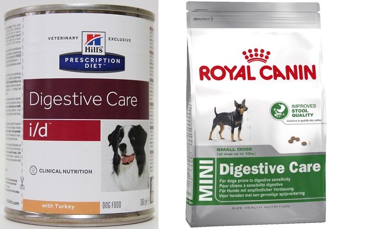 Régime alimentaire pour chiens atteints d'entérocolite