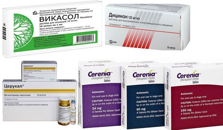 Médicaments pour traiter les vomissements de sang chez les chiens