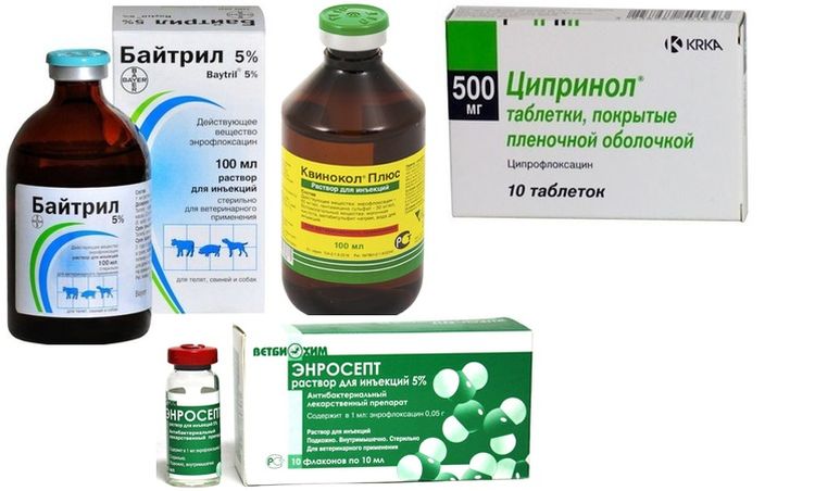 Médicaments pour le traitement du staphylocoque