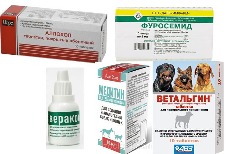Médicaments pour le traitement de l'ascite chez le chien