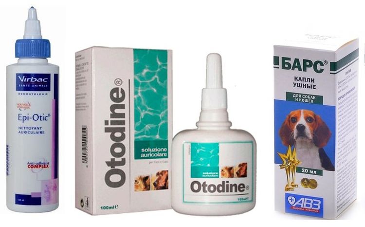 Gouttes pour le traitement de l'otodectose chez le chien