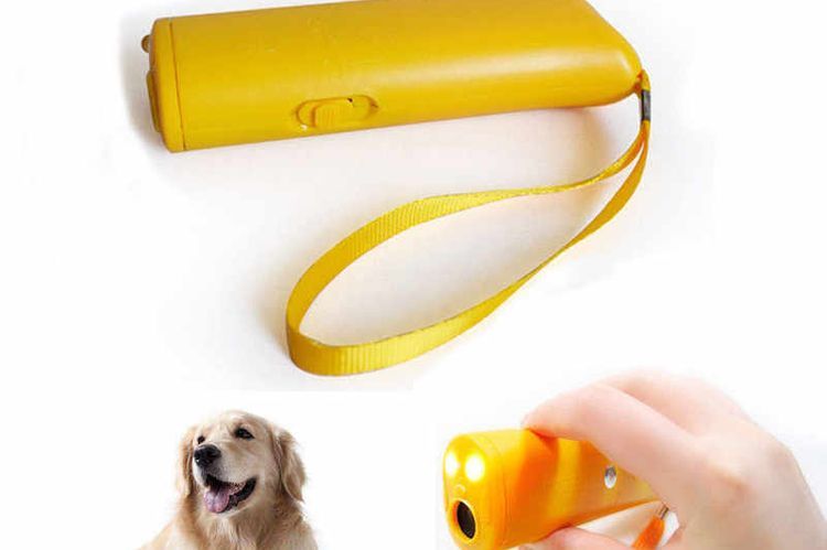 répulsif pour chiens