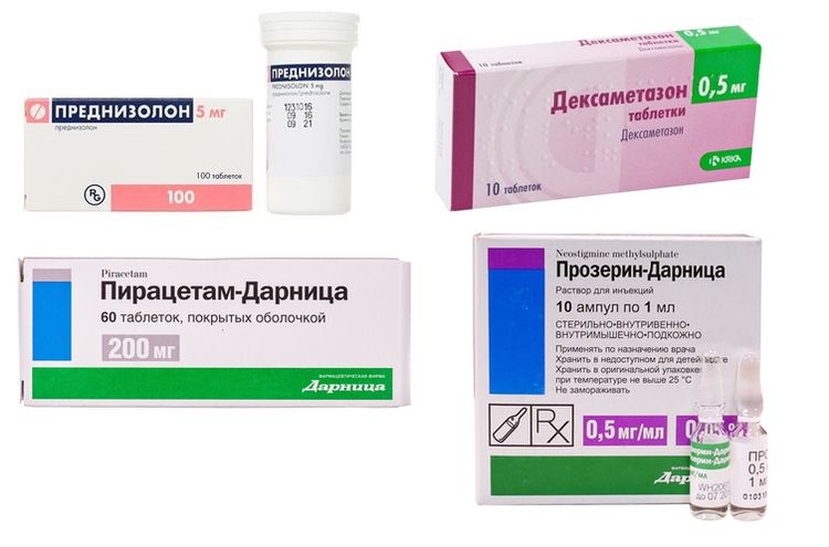 Médicaments pour le traitement de la paralysie des pattes chez le chien