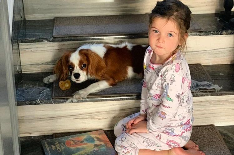 La fille de Ksenia Borodina et son chien Bertie