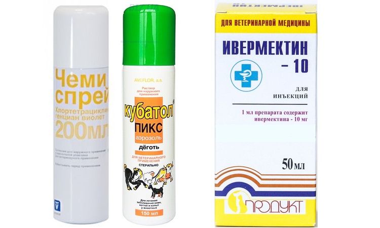 Traitements de la dermatite interdigitale chez le chien