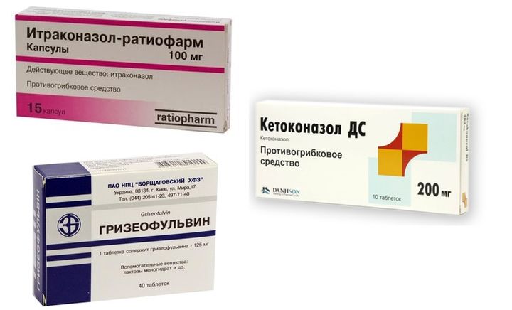 Traitement des dermatomycoses chez le chien