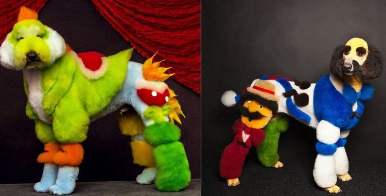 Coupes de cheveux insolites pour chiens