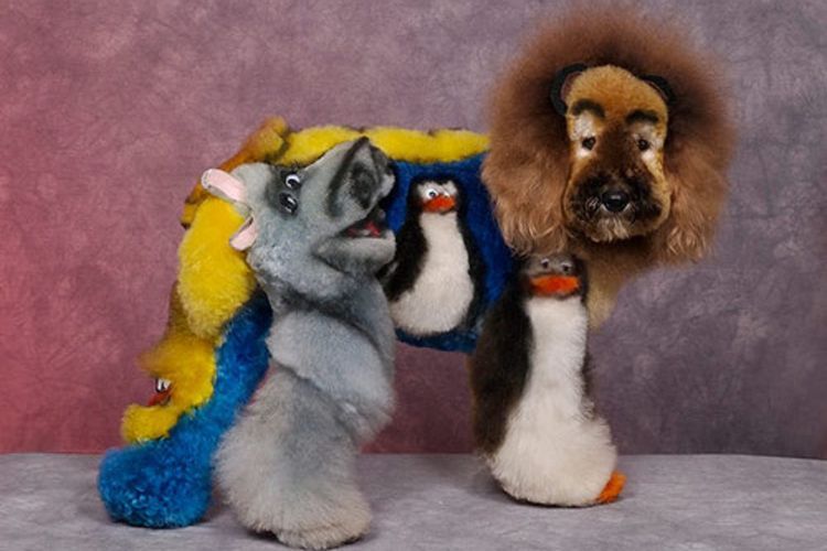 Coupes de cheveux insolites pour chiens