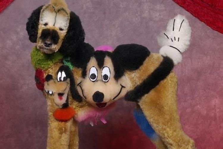 coupes de cheveux créatives et insolites pour chiens (8) Coupes de cheveux insolites pour chiens