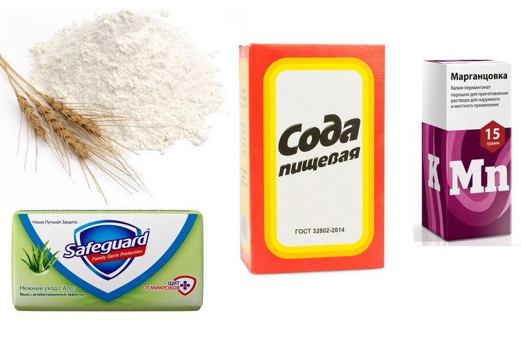 Remèdes hémostatiques maison pour chiens