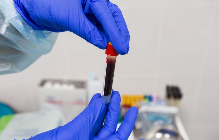 Prélèvement sanguin chez un chien