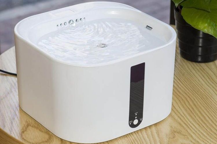 Abreuvoir automatique pour chat