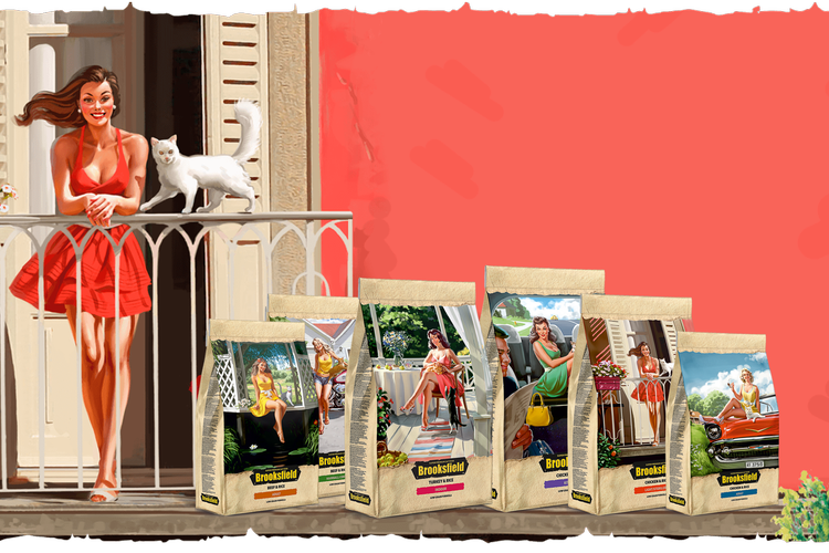 Nourriture pour chats Brooksfield