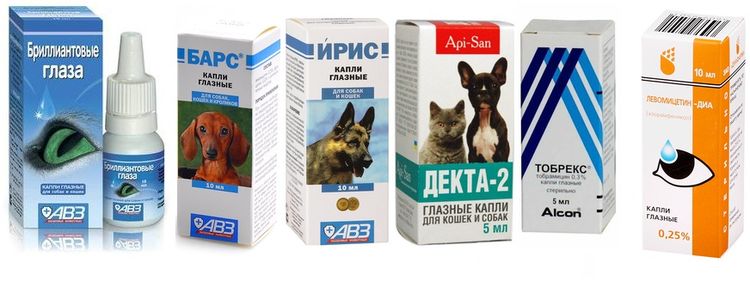 Gouttes oculaires pour chats