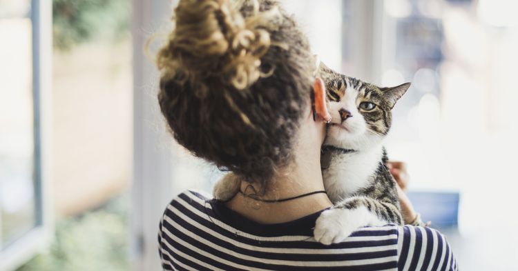 L'amitié entre l'homme et le chat
