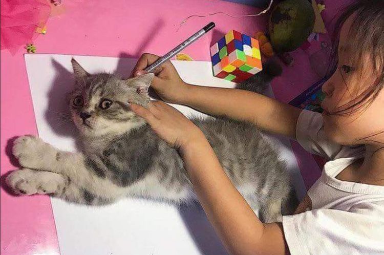 Comment dessiner un chat