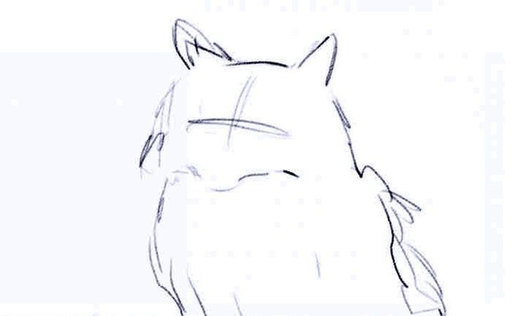 Comment dessiner un chat duveteux