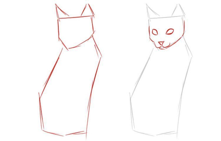 Comment dessiner un chat assis en entier