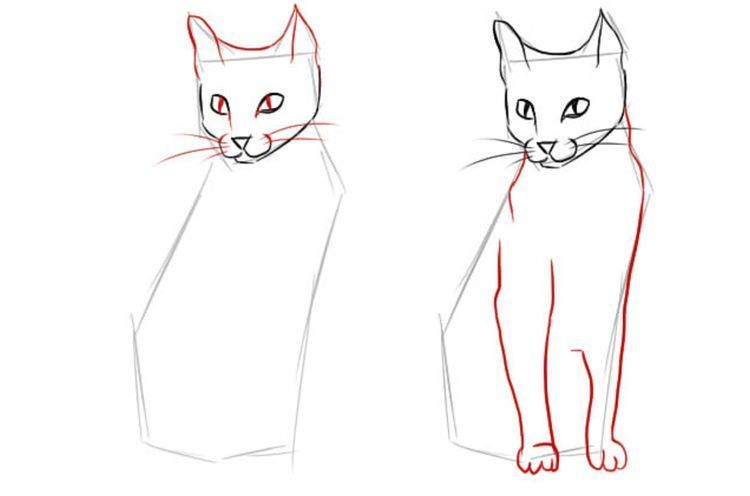 Comment dessiner un chat assis en entier
