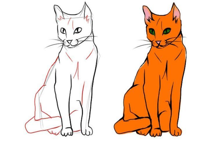 Comment dessiner un chat assis en entier