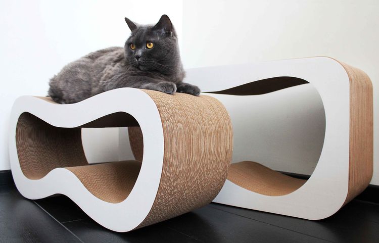 Filet à chat en carton