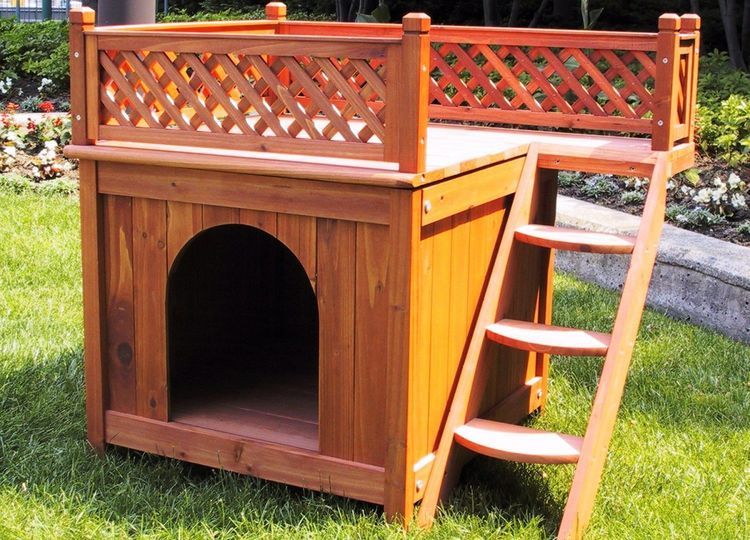 échelle pour chiens de petites races : que choisir ? Types d'échelles pour chiens de petite race