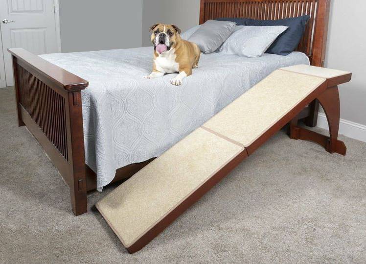 échelle pour chiens de petites races : que choisir ? 13 Types d'échelles pour chiens de petite race