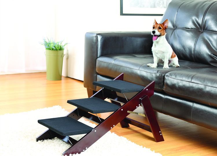 échelle pour chiens de petites races : que choisir ? 14 Types d'échelles pour chiens de petite race