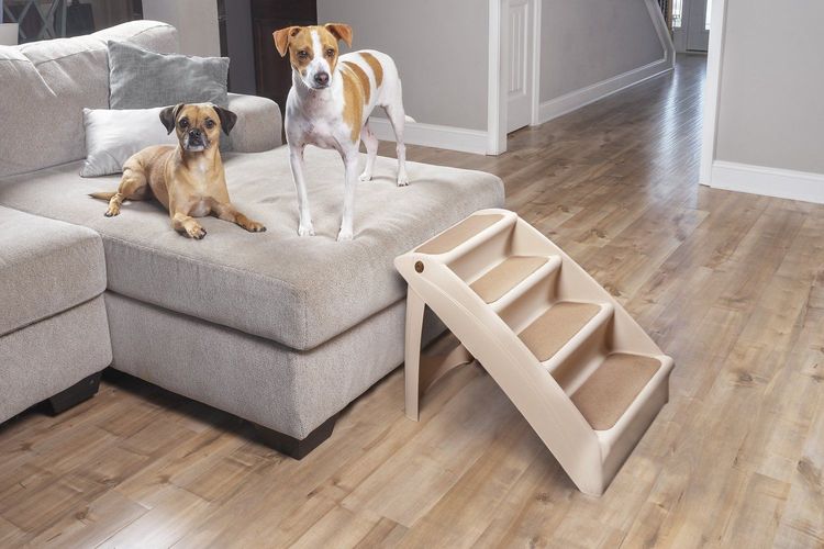 Échelle en plastique pour chiens