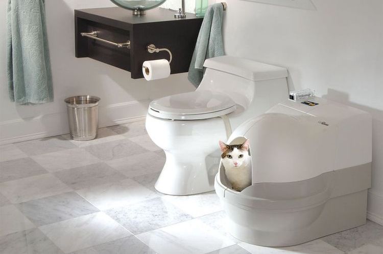 Bac à litière autonettoyant pour chats