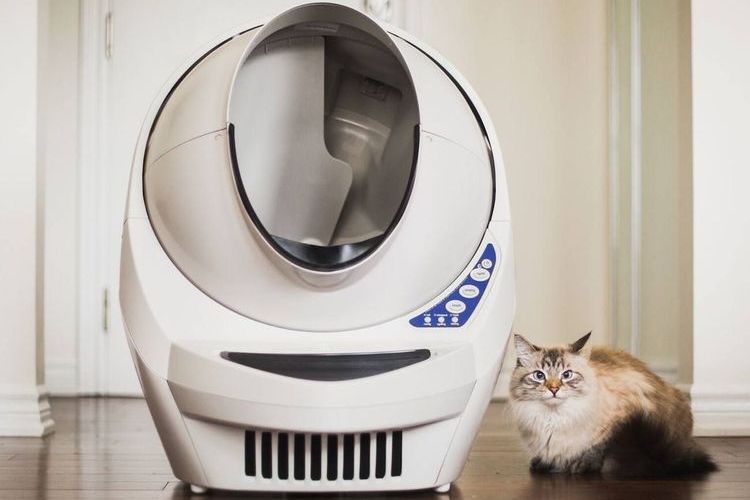 Bac à litière autonettoyant pour chat